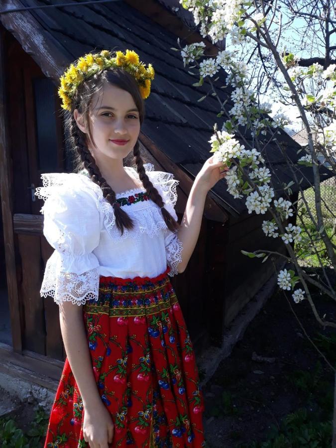Pensiunea Maria Sighetu Marmaţiei 외부 사진
